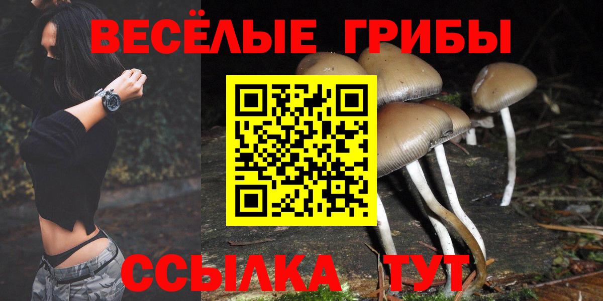 Галлюциногенные грибы Magic Shrooms  Вход с VPN  Псилоцибиновые грибы Psilocybine cubensis  Кимры 