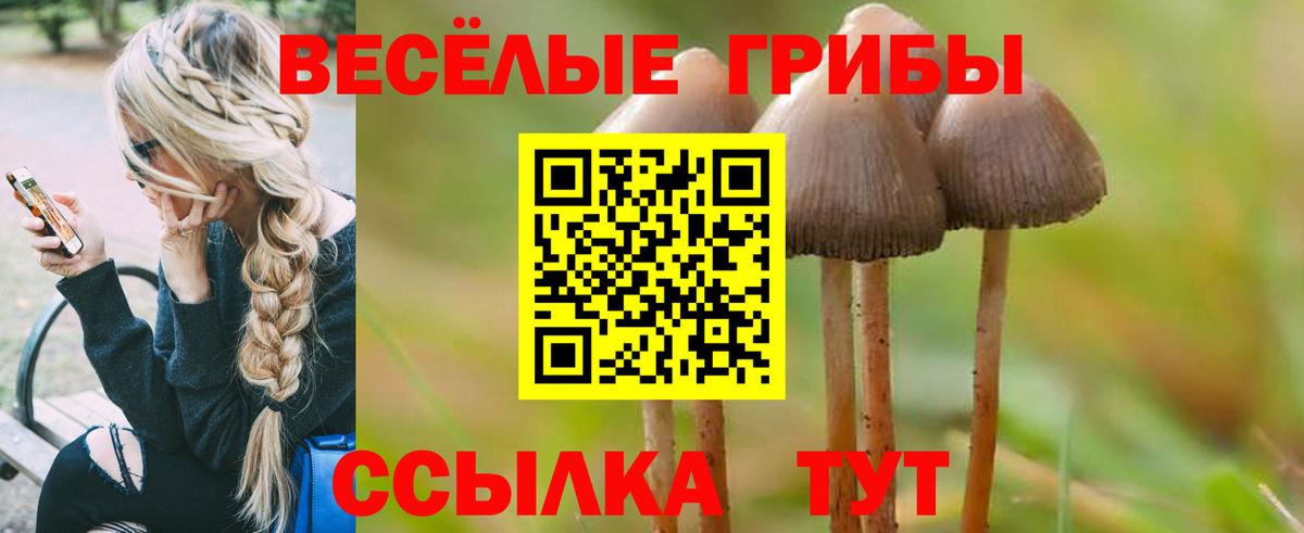 Галлюциногенные грибы прущие грибы Кимры