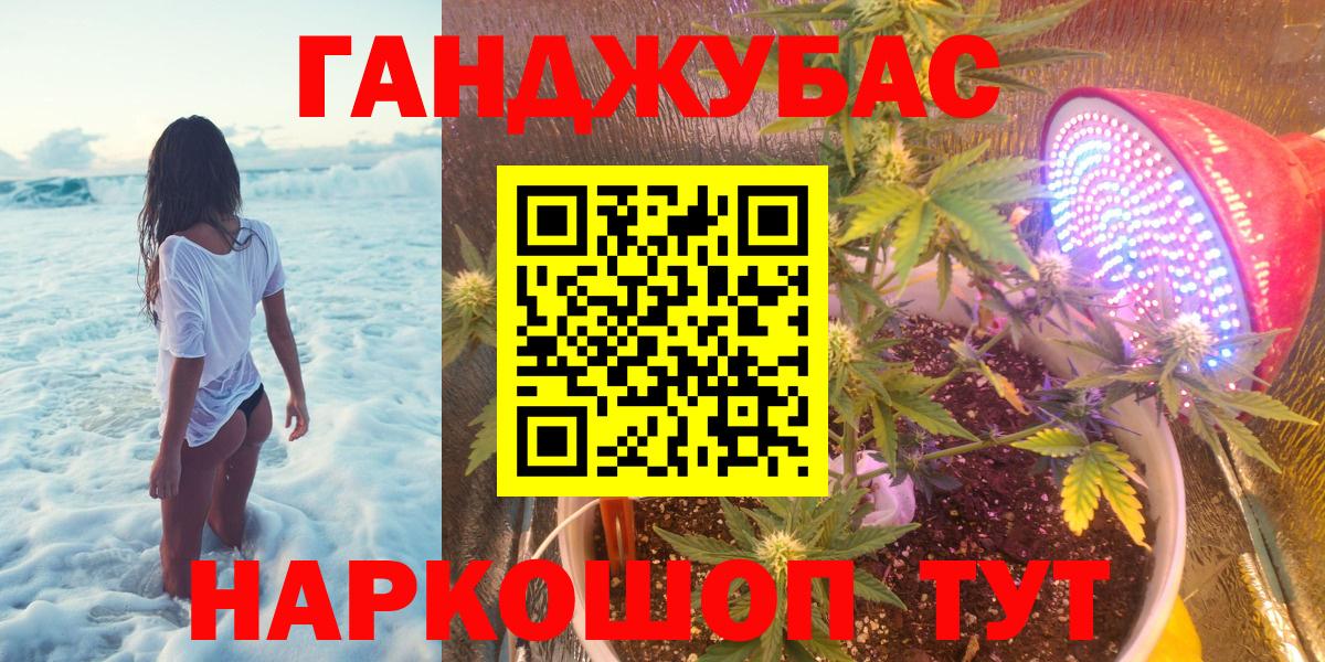Каннабис планчик Кимры